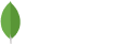 mongodb-ar21.png